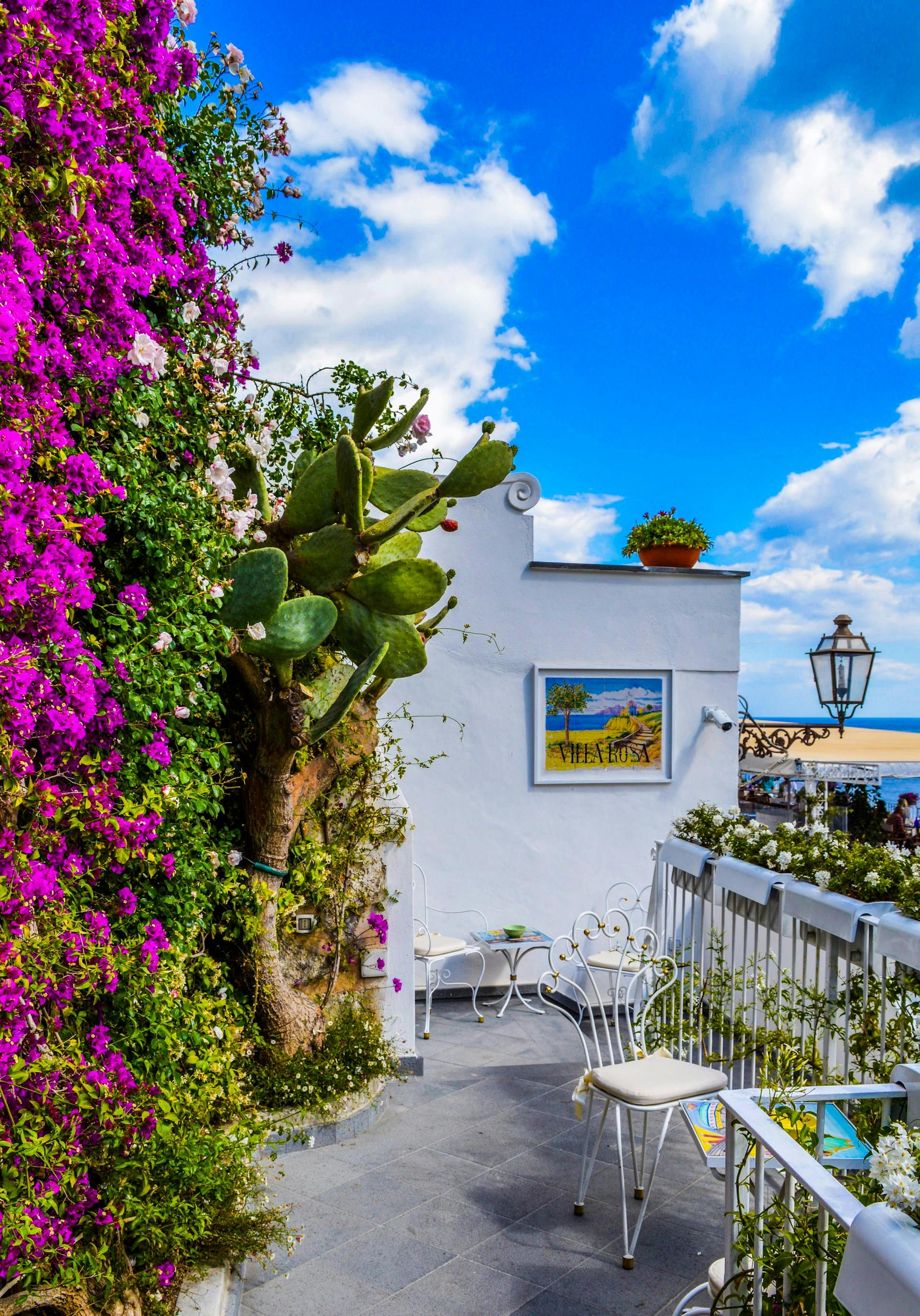Place haute de Mougins-village, terrasse sous les platanes